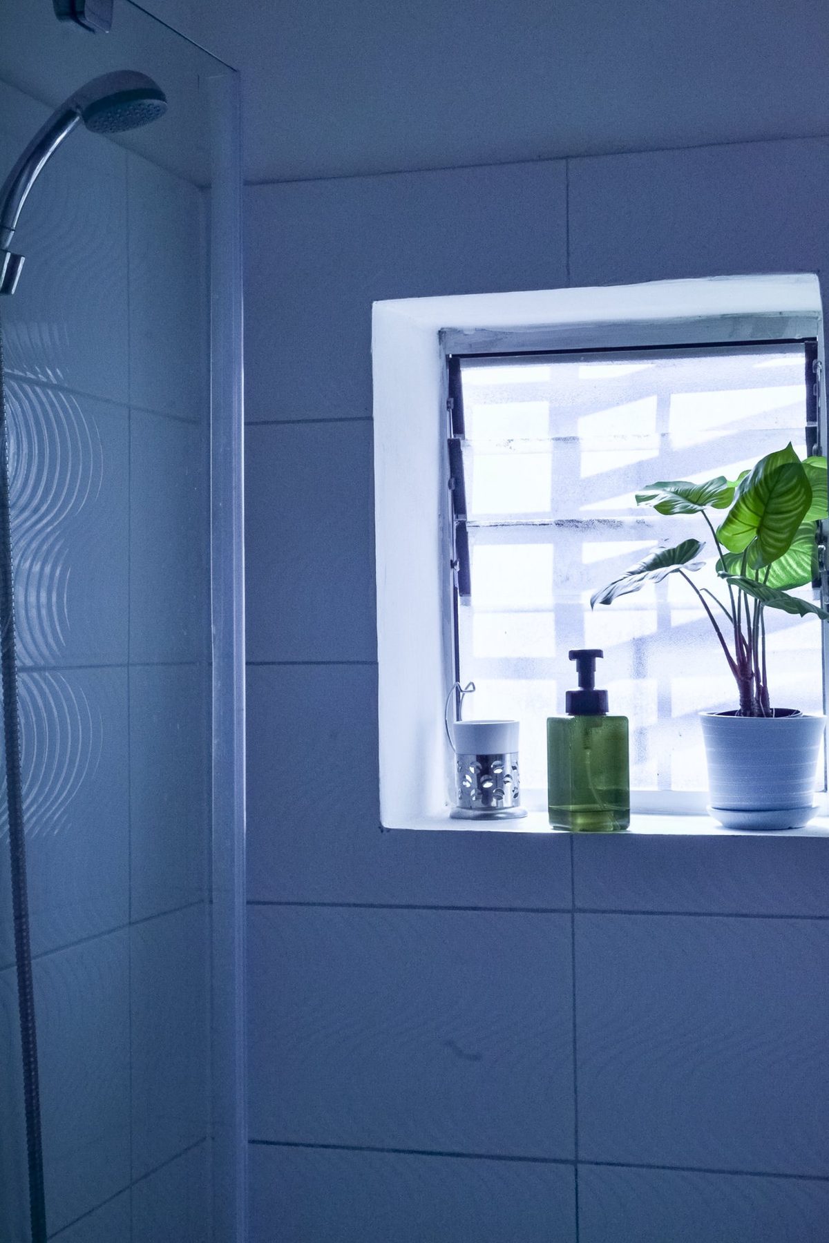 Habitación Estándar - baño privado con ventana